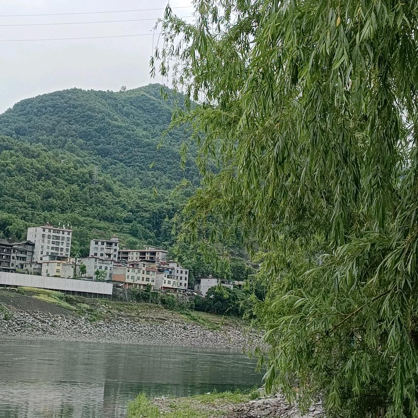 老四哥