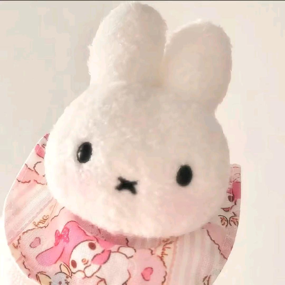 头晕晕了