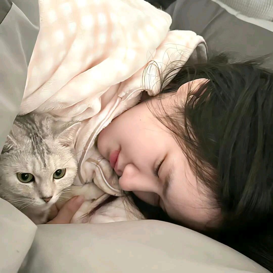 蓝桉长在洱海边