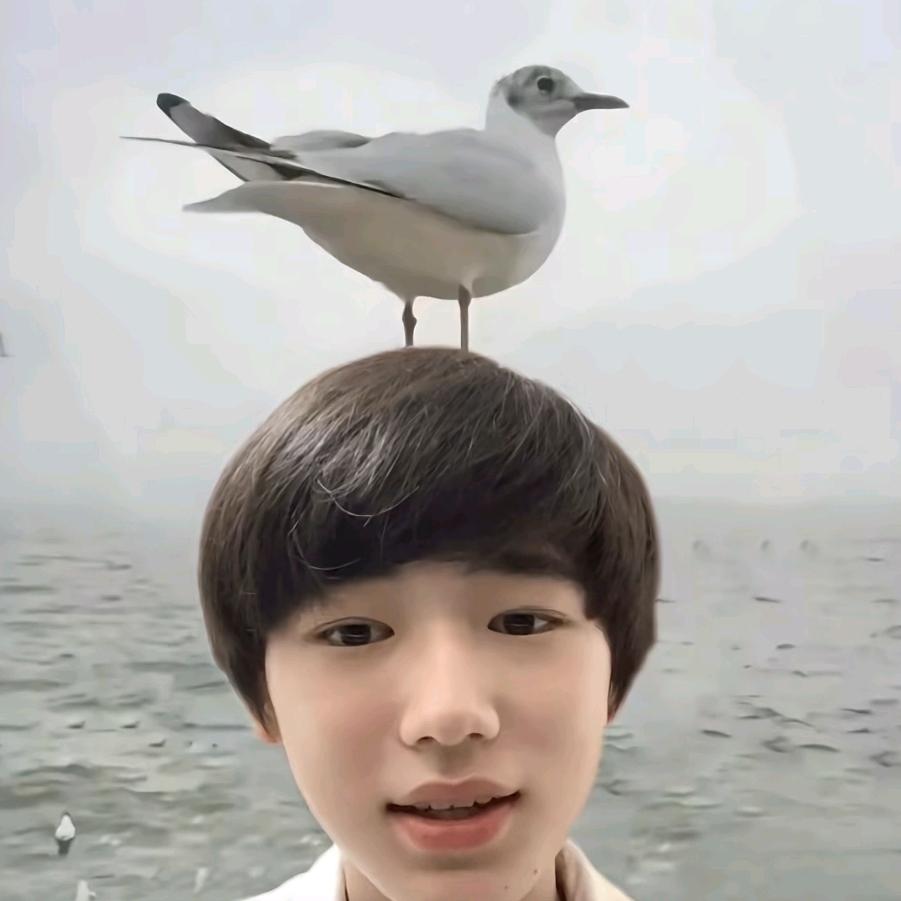 竹下映舟庭