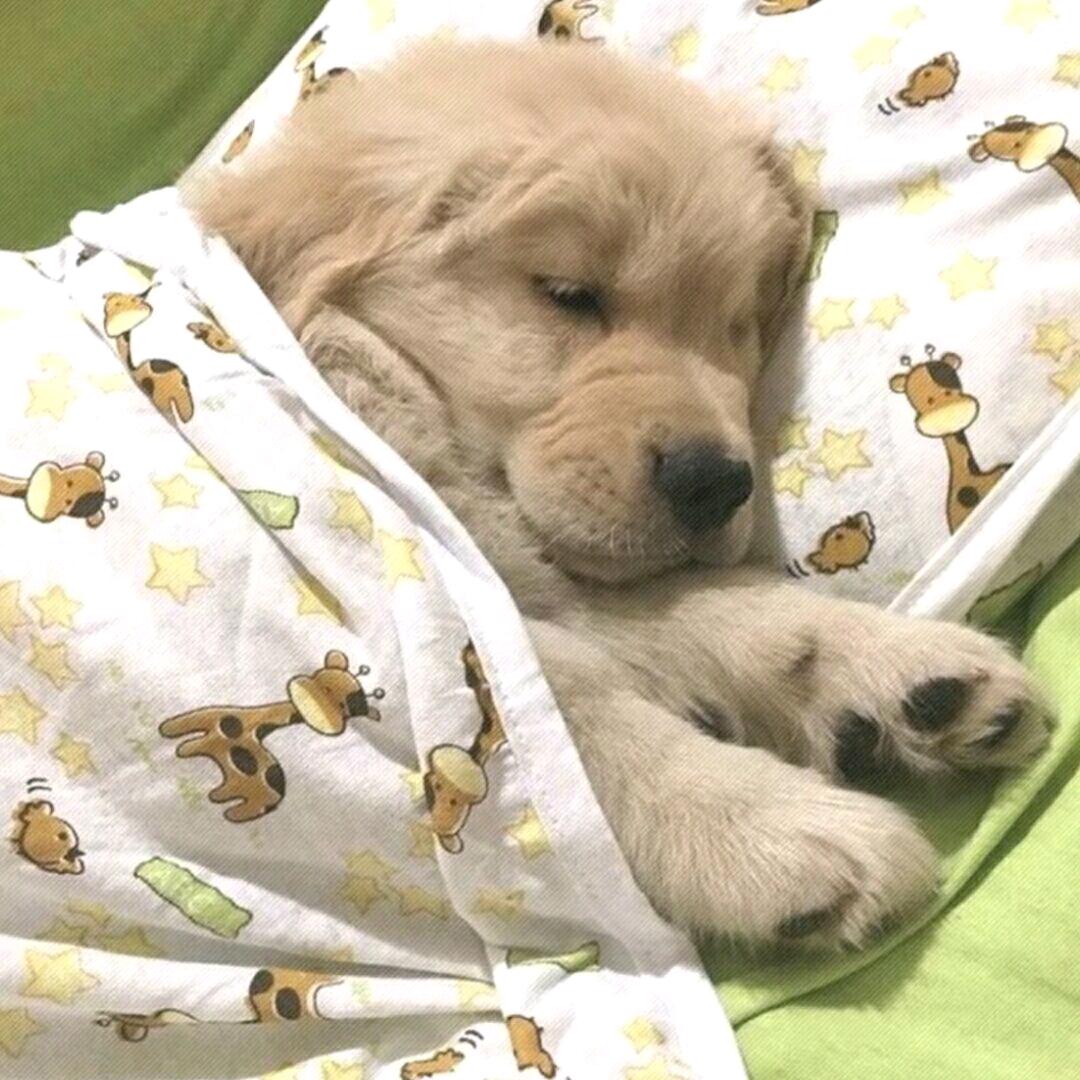 。。。！！！！