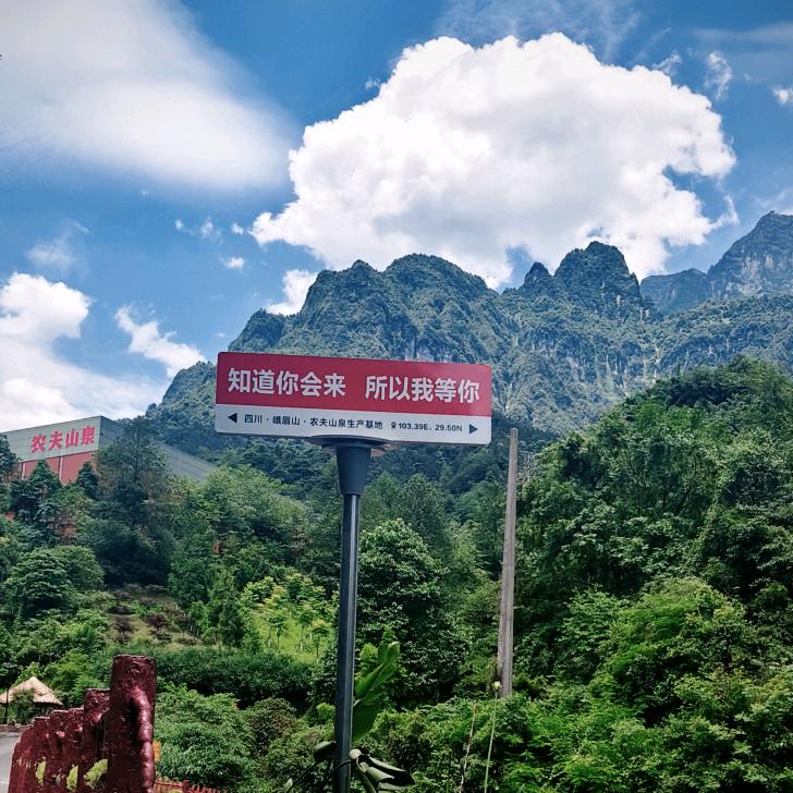 🍊云阳红橙🍊