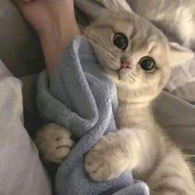 梦.