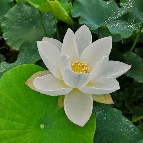 @赶路人