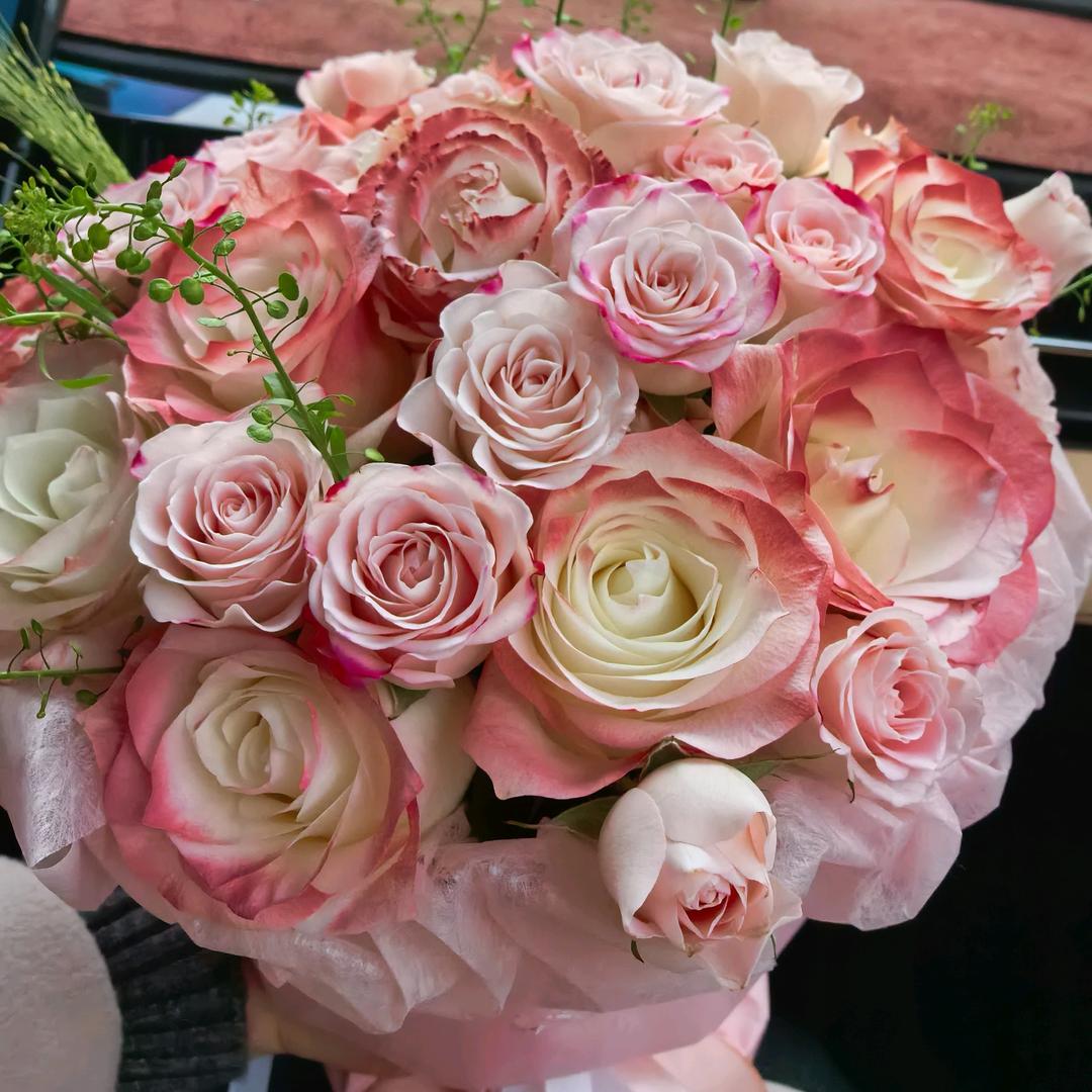 ༺ཌༀ开心果ༀད༻