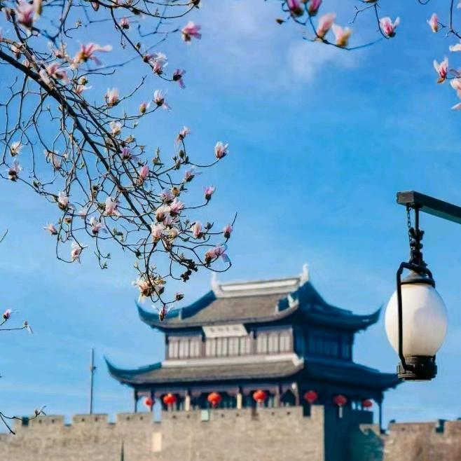 一蓑烟雨任平生🤜