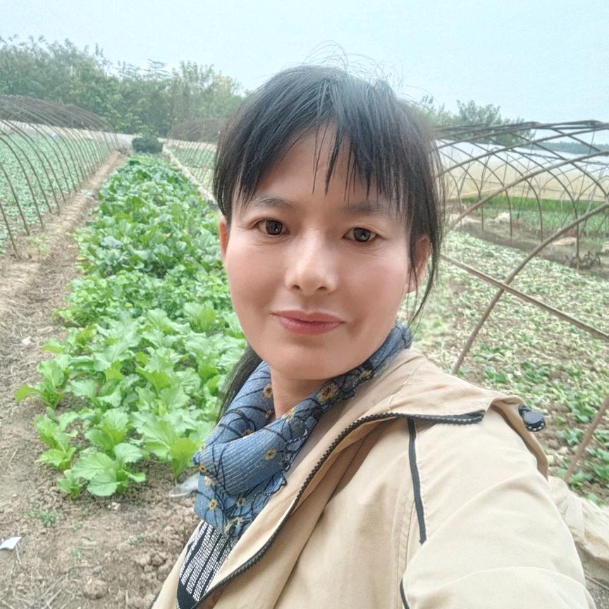 晒太阳武汉种植