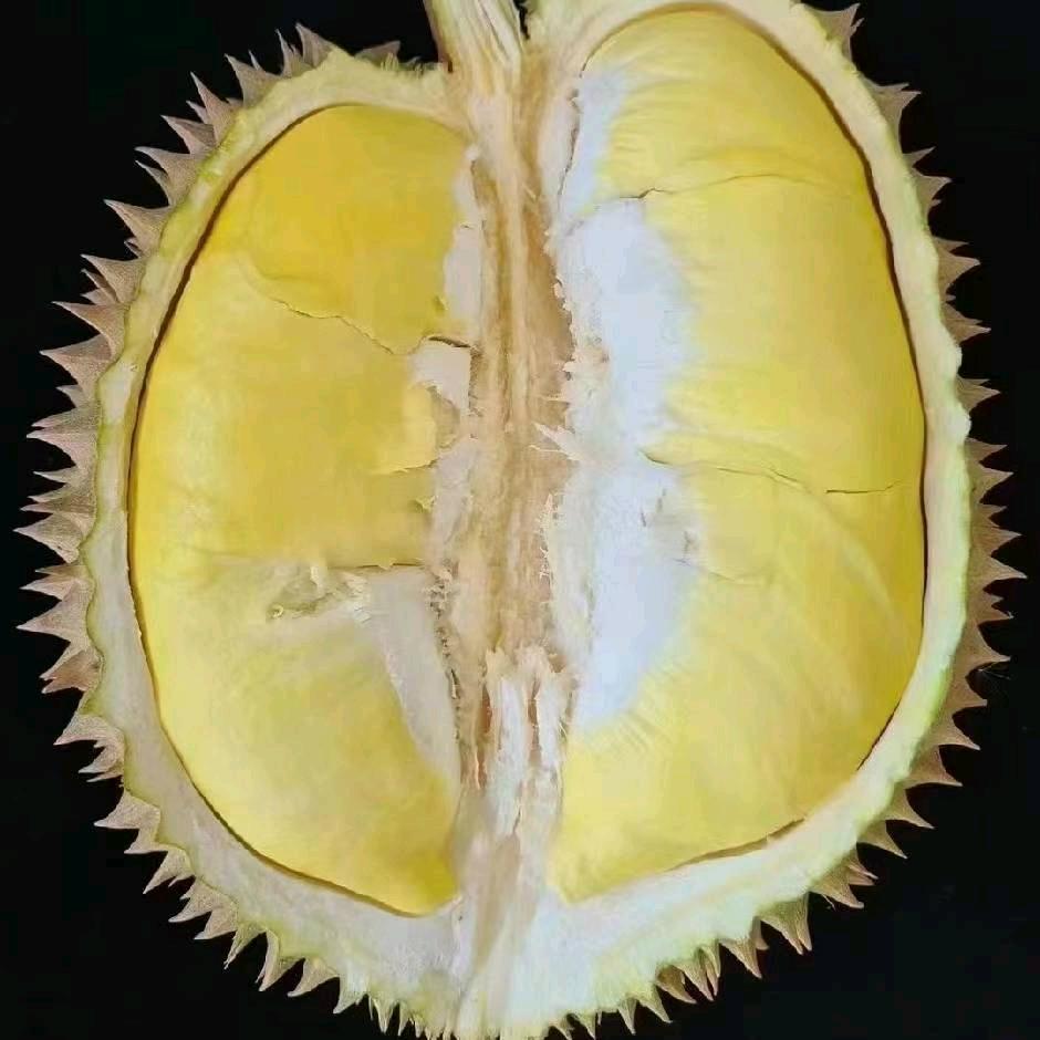 榴阿哥