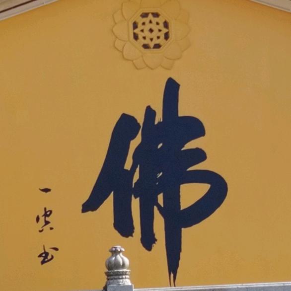 🌻涅槃重生🌻