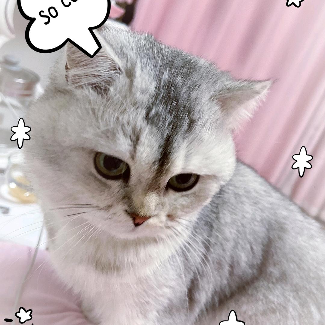 A途