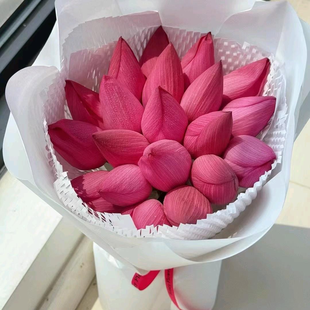 ღ棉花糖ღ᭄ꦿ࿐🦋