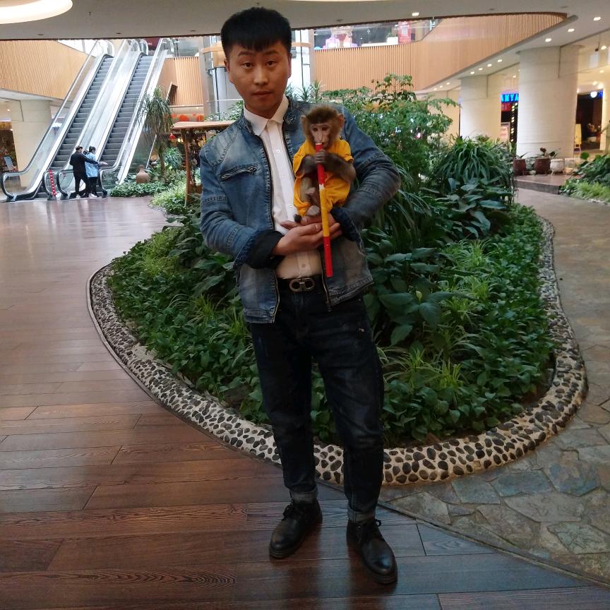 王者荣耀大神直播