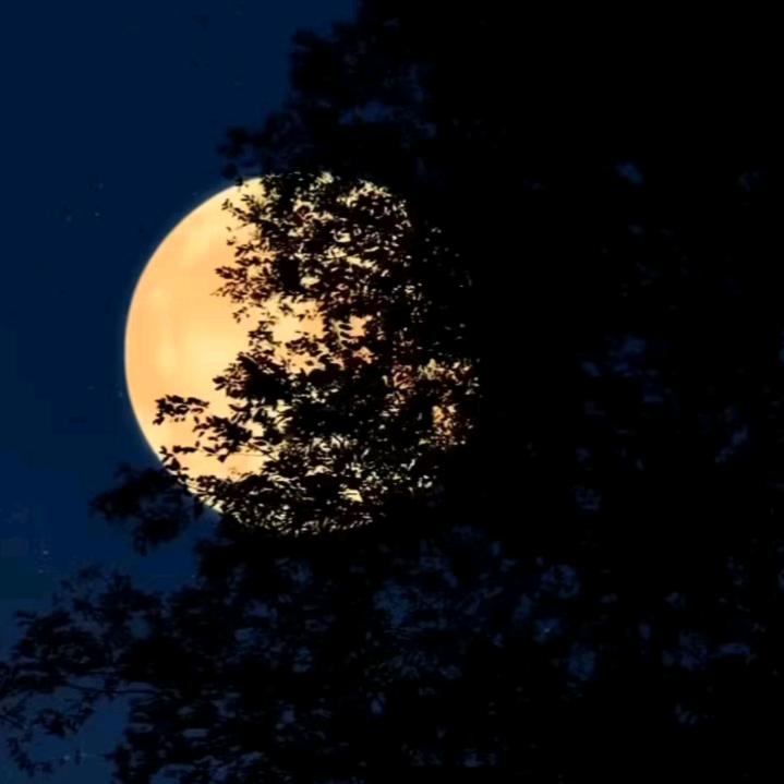 ￴ ￴ ￴￴ ￴ ￴🎣🎣🎣🎣啊平