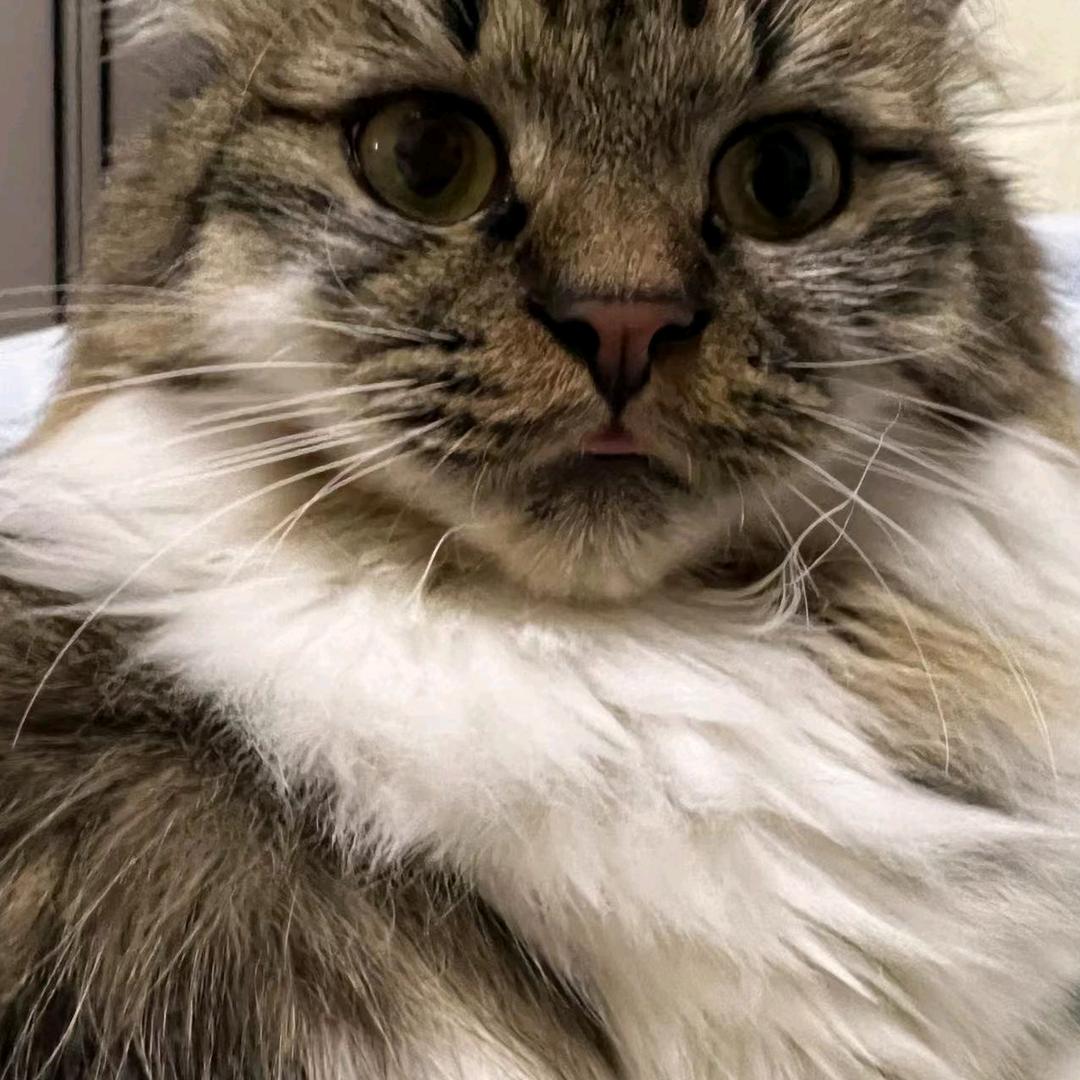 开心快乐王铁柱