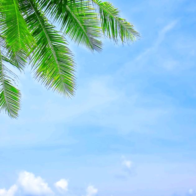 郑州市树昌纸业