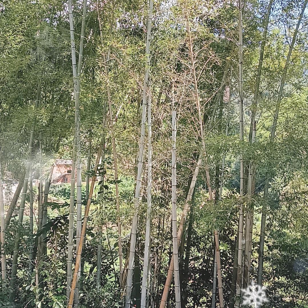 从今往后，，封心锁爱