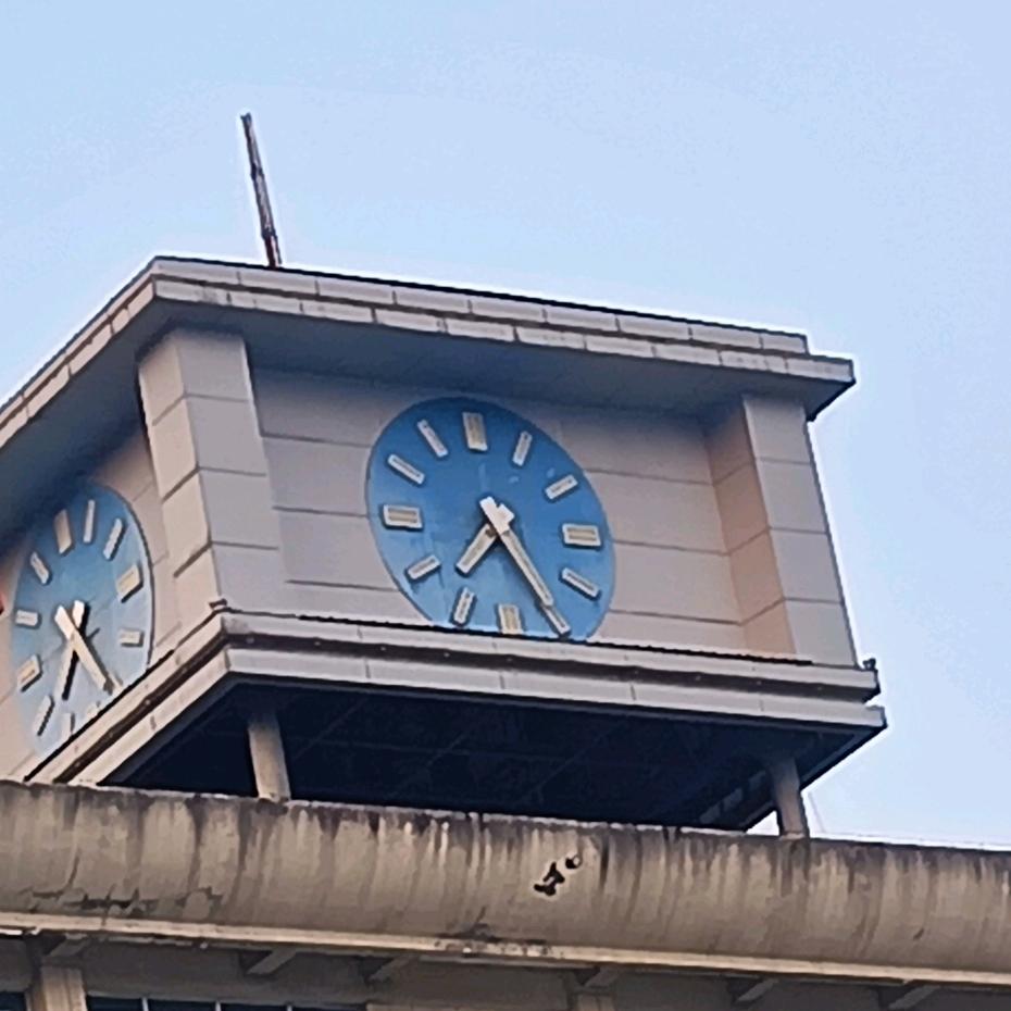 车车哥
