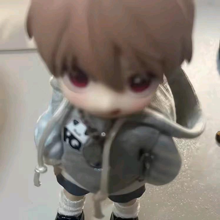 念梦手养鹦鹉🦜