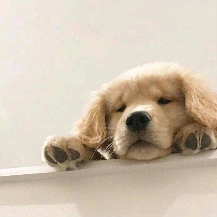 太阳～～～月亮