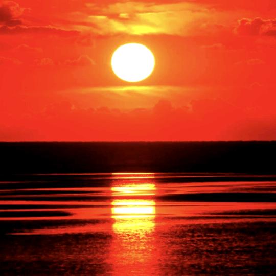 但行善事，莫问前程。