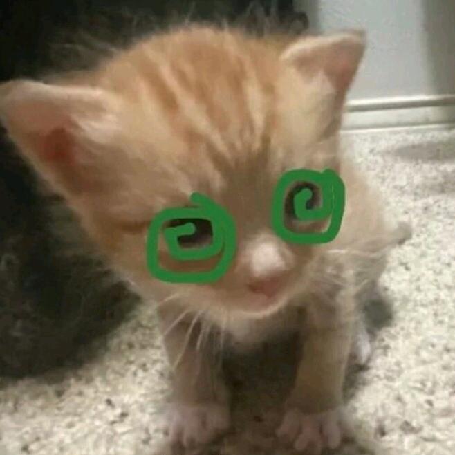 猪妞