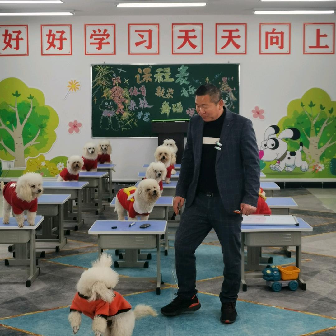萌宠训练营(PK号)