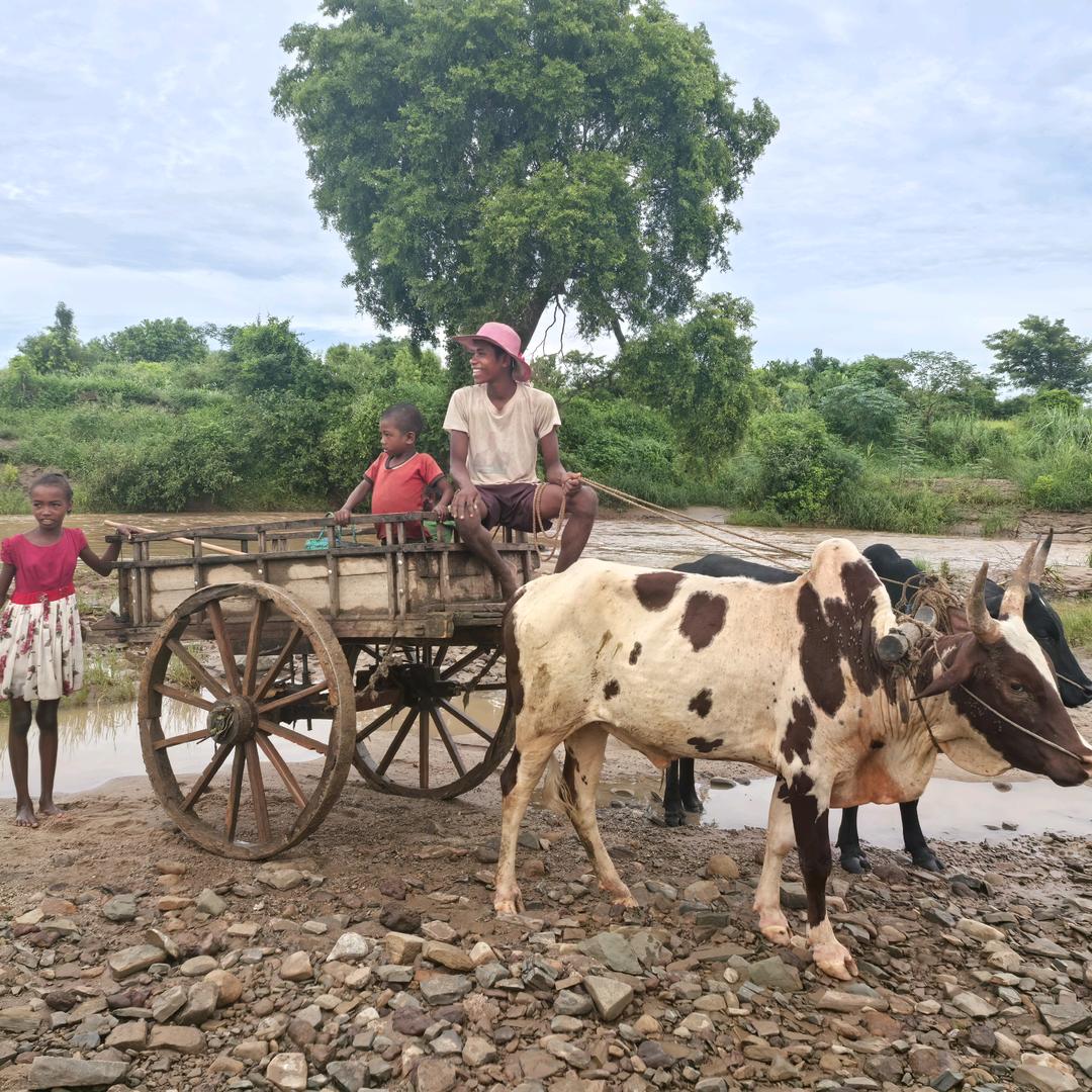 王不癫（腿软版）