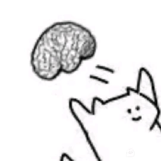hello小猫