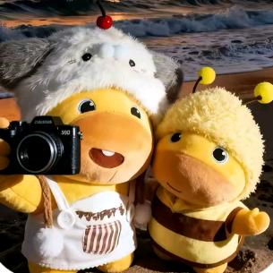 糖炒🌰