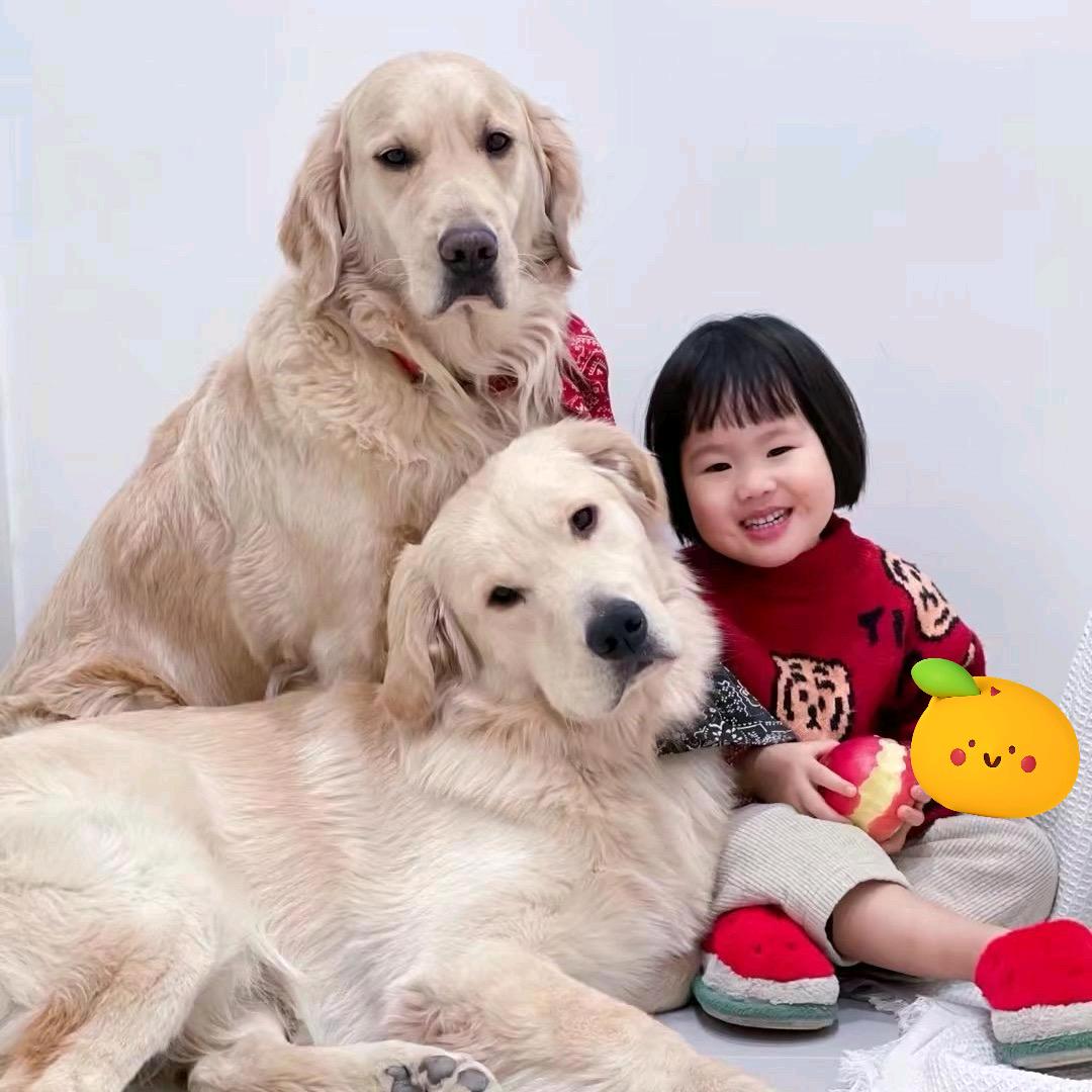 安安糖豆一家