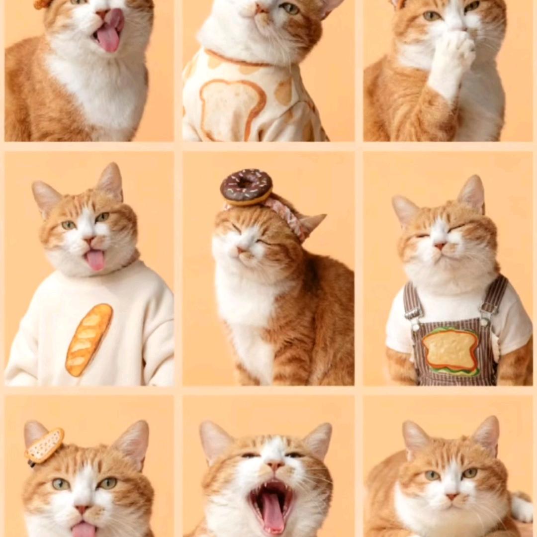 橘子🍊&花花🌸