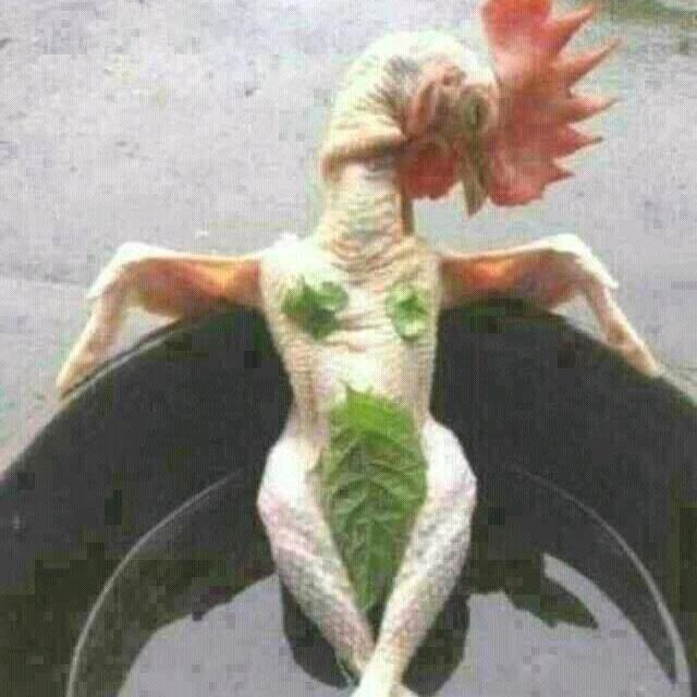 硬邦邦