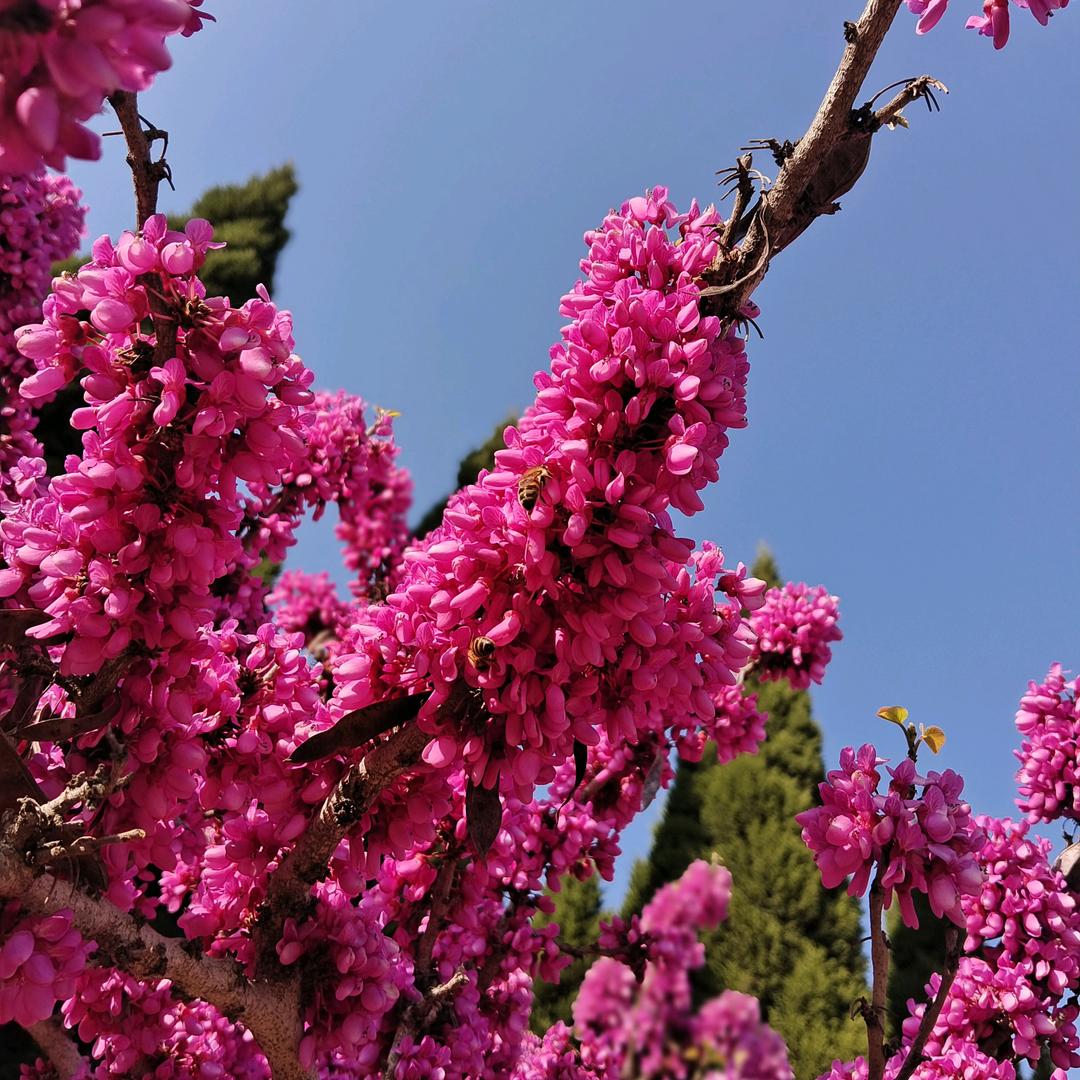 籼妈呀(˃ ⌑ ˂ഃ )