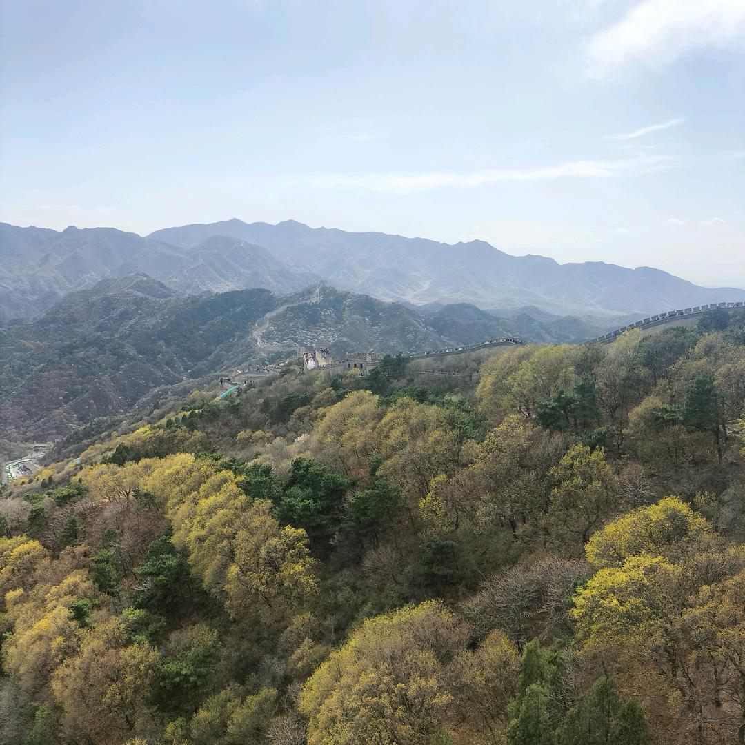 小燕不迷路
