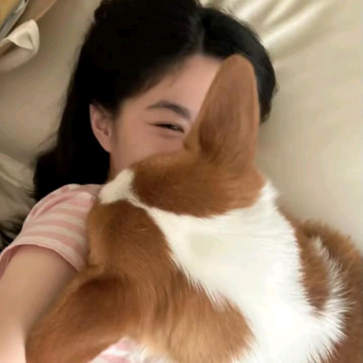 画饼🍪达人