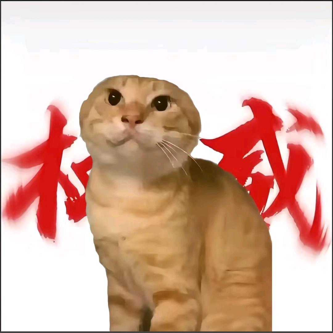 AMPTBKK头像