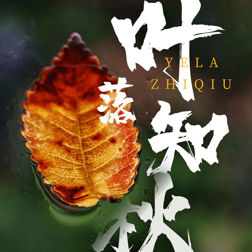 叶落知秋