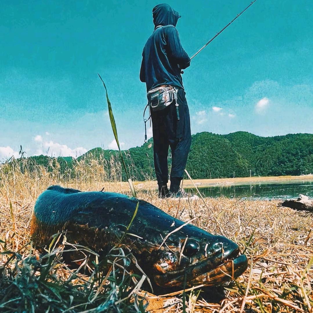 疯狂小钓手🎣