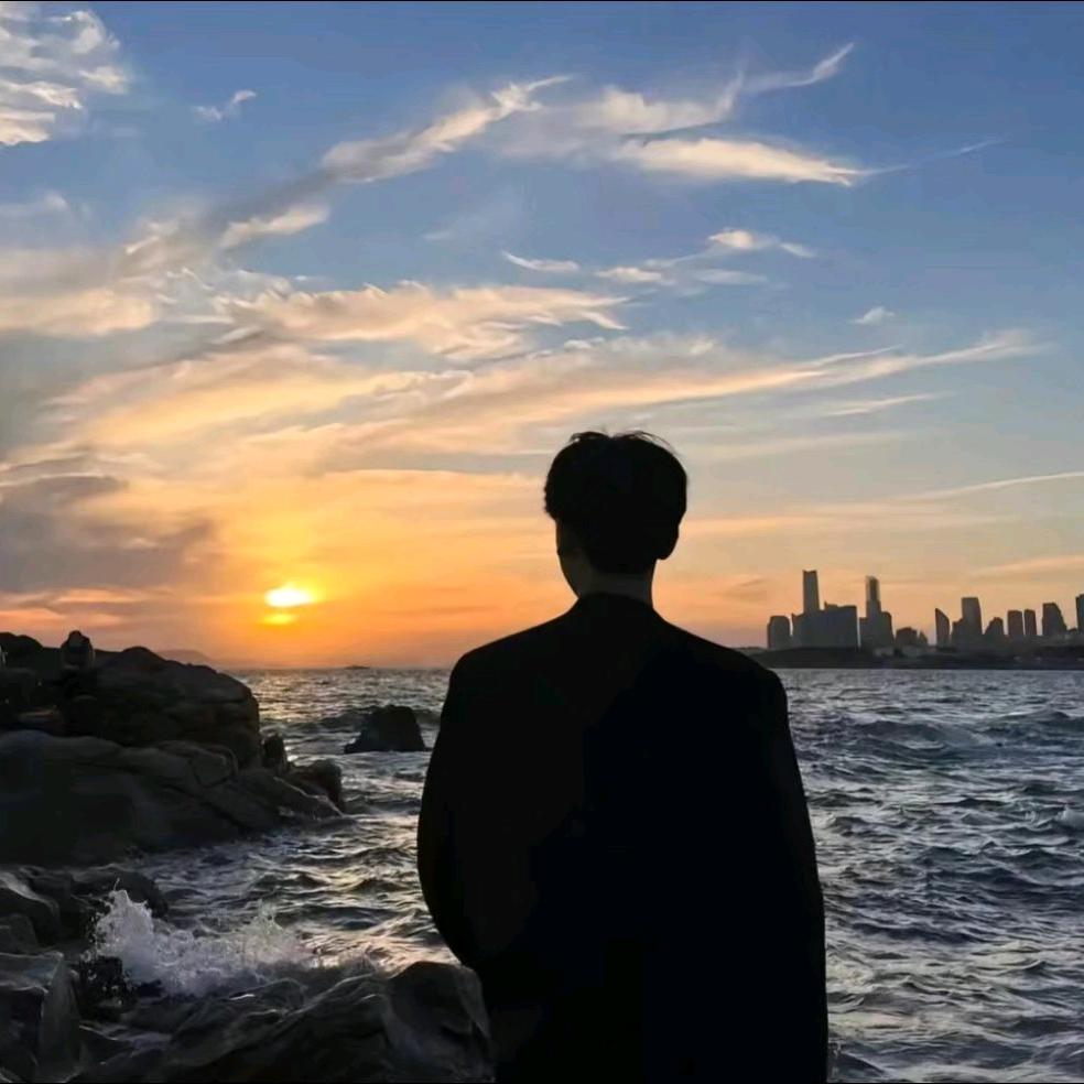 不坠青云志