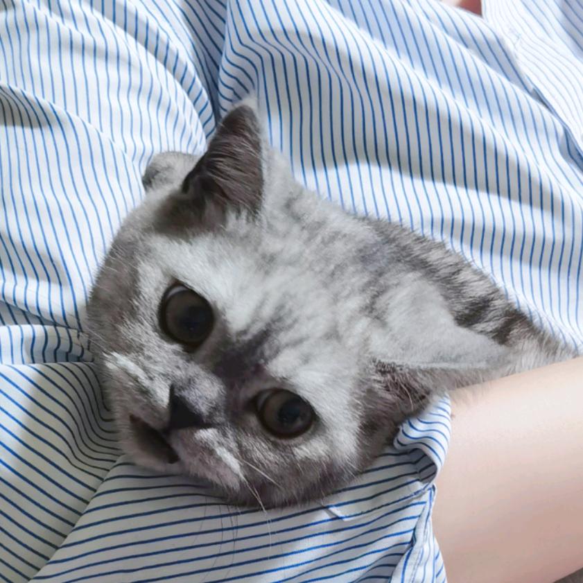 辰辰...