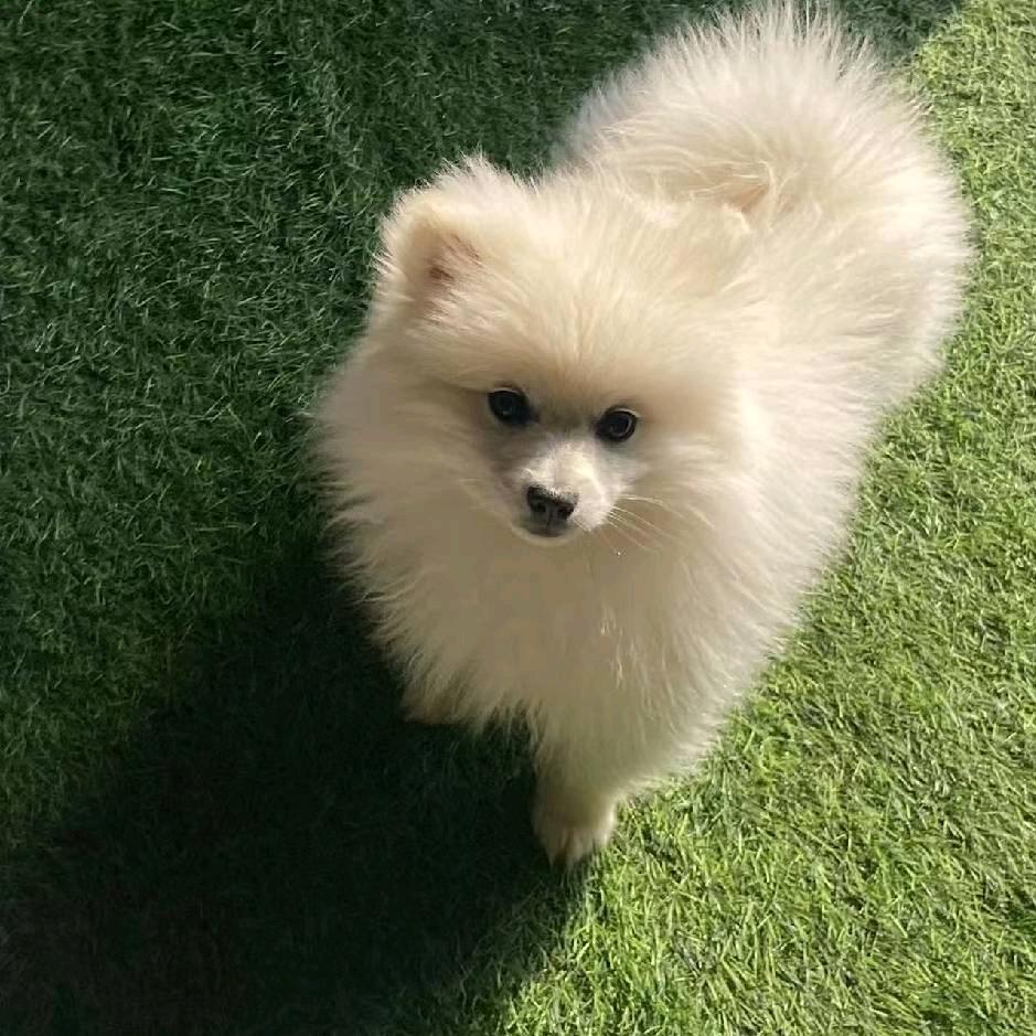 ℒ余生ᩚ安ᮨ໌້好ঞ ໌້