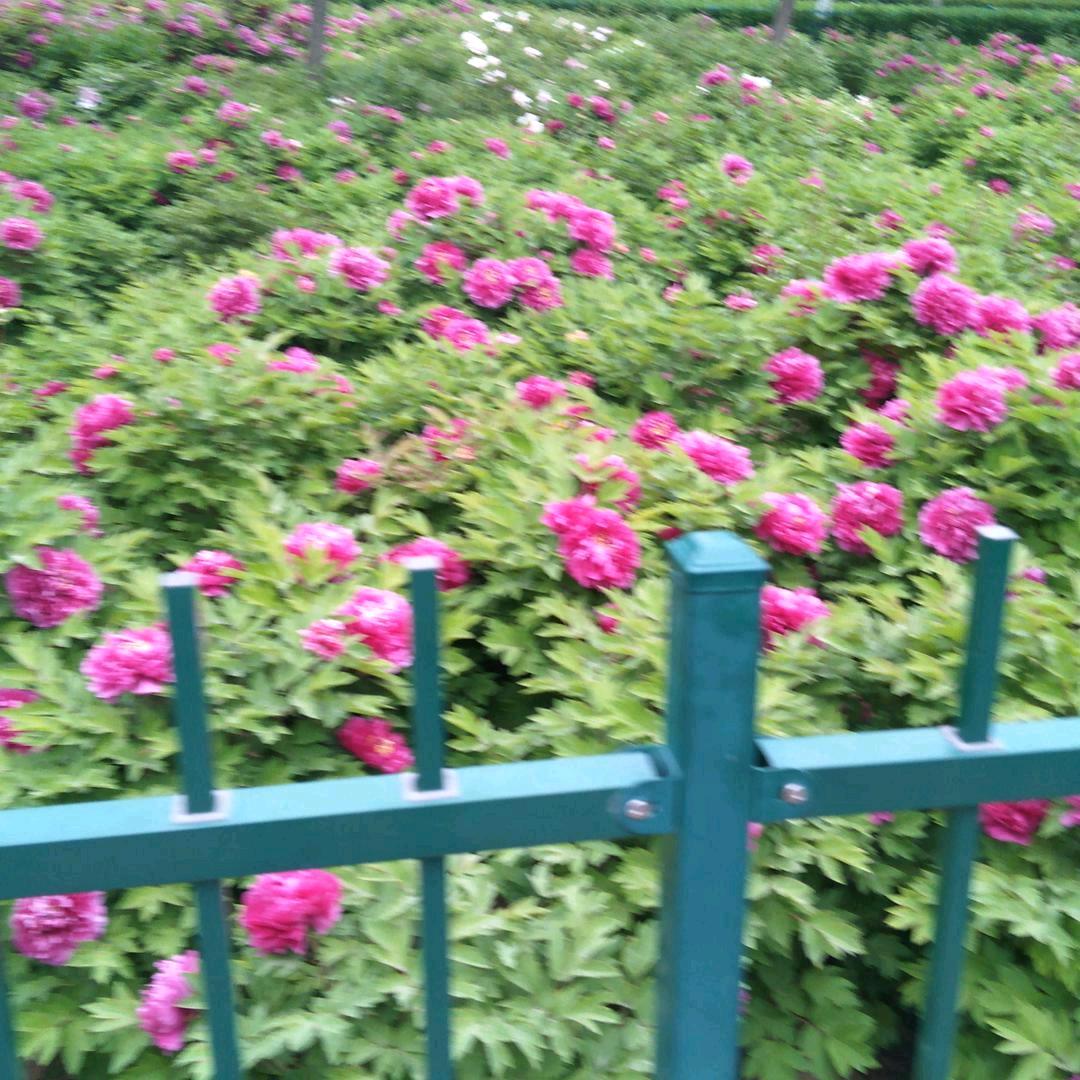 幸福一家