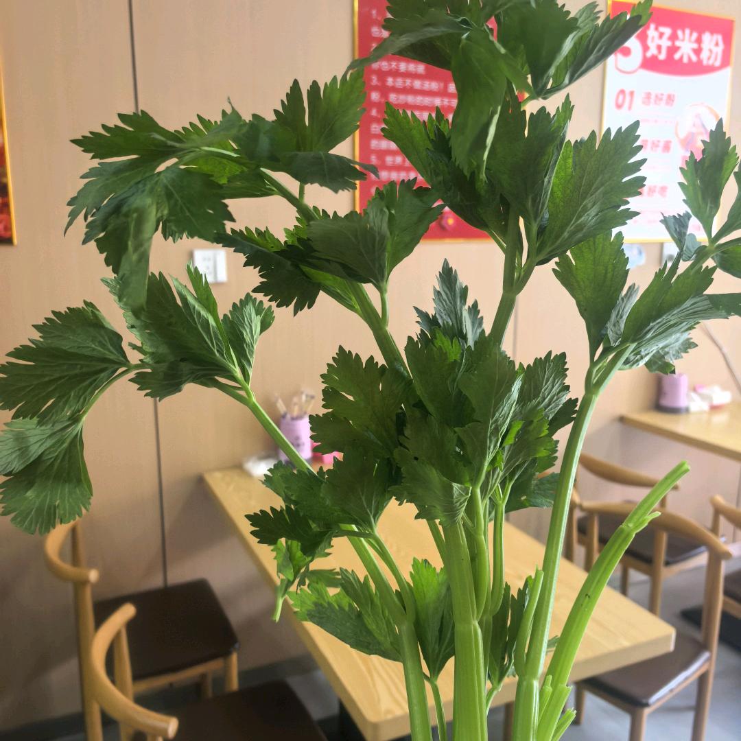 西雅苏新疆炒米粉（枣阳大十字街）