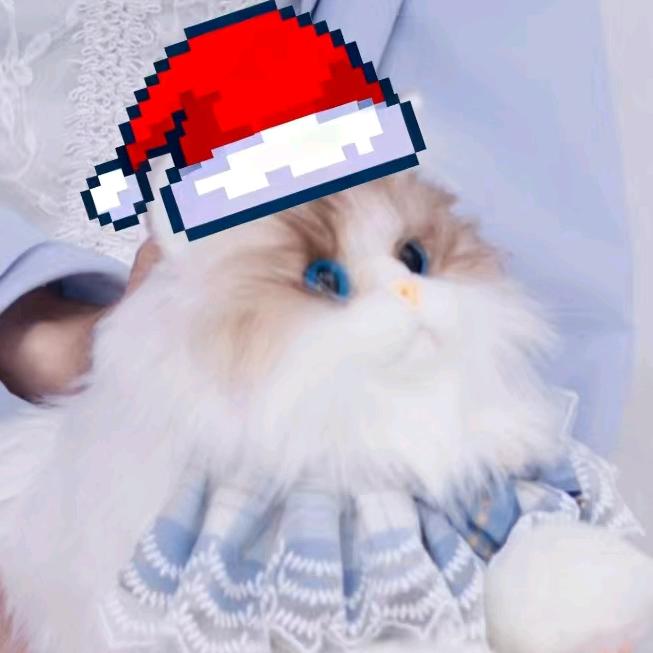雾宝猫儿✨