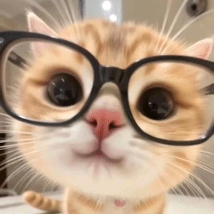 小困神🍀.🐾