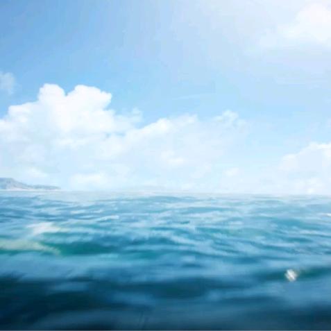 花开花落皆因果