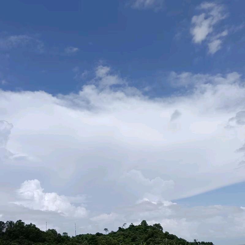 小香