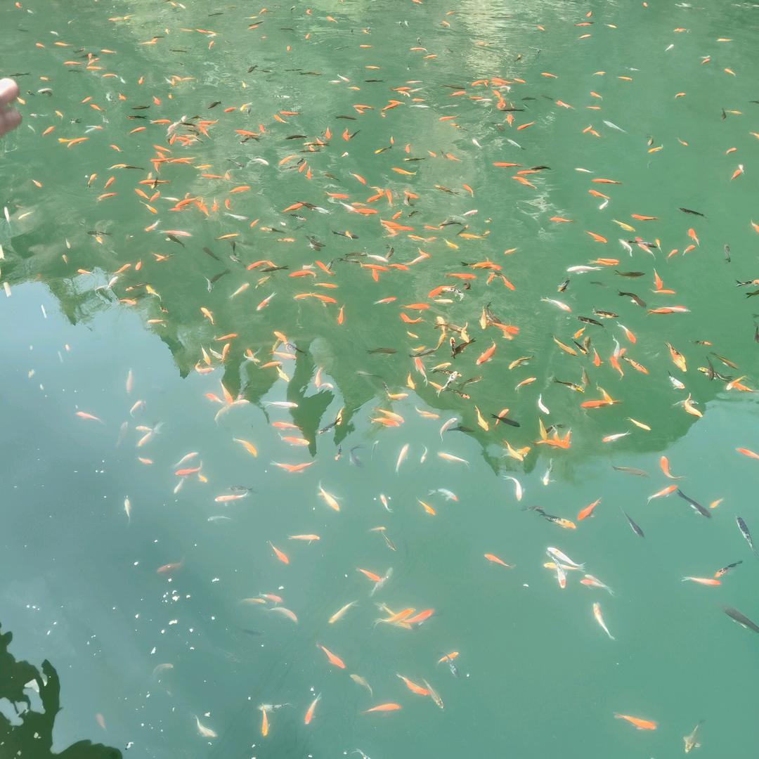 用户5160783544419东