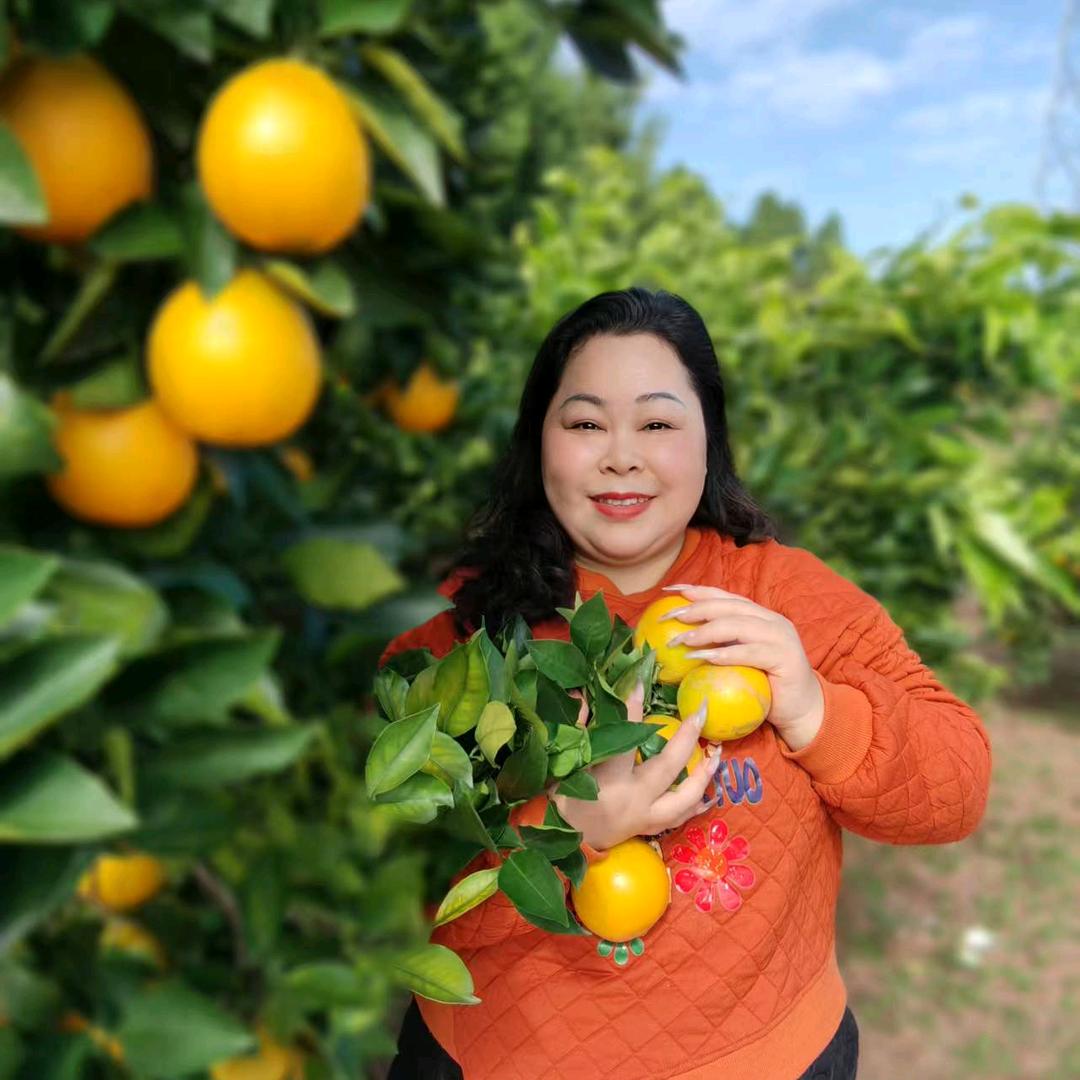 飞扬农产品（麻阳冰糖橙）
