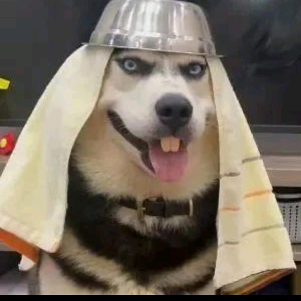 玖柒